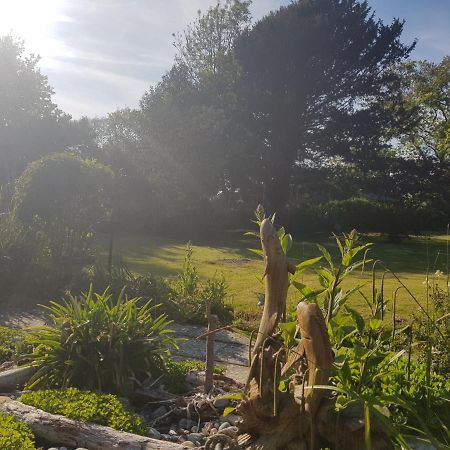 Kingsmede Bed & Breakfast Ventnor Exteriör bild