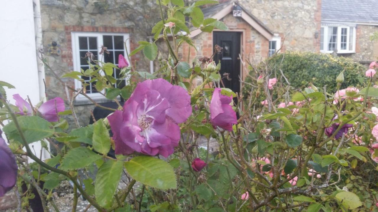 Kingsmede Bed & Breakfast Ventnor Exteriör bild